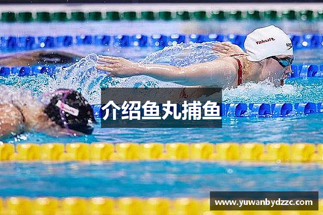 介绍鱼丸捕鱼